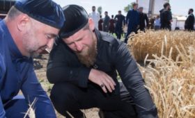 Чечня будет поставлять продовольственные товары в ОАЭ и Саудовскую Аравию