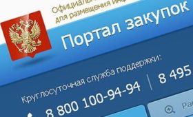 Псковская область: Более 210 млн рублей удалось сэкономить на госзакупках