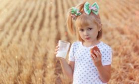 Пермский край: В Прикамье ужесточают требования к качеству молока, поставляемого в социальные учреждения