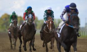 В Адыгее прошли конные соревнования, посвященные 27-летию образования республики