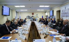 В Государственной Думе обсудили перспективы развития круизного судоходства в высоких широтах