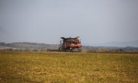 Более 13 тысяч дальневосточных гектаров выдано в Приморье