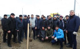 Масштабная акция «Зеленые километры» пройдет во всех городах и районах Дагестана