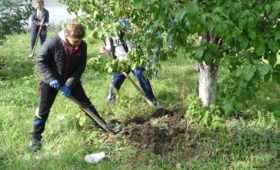 В Пензенской области участники экологической акции высадили 1700 саженцев