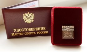 Спортсменам Республики Марий Эл присвоено звание «Мастер спорта России»