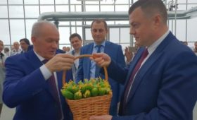 Александр Никитин: «Открытие современных теплиц — это старт витаминной индустрии на Тамбовщине»