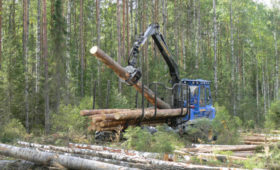 В Кировской области разработают стратегию развития лесного комплекса до 2030 года