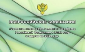 Иркутская область: Губернатор Сергей Левченко предложил полностью запретить экспорт древесины в виде круглого леса с 1 января 2020 года