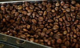Краснодарский край: На кофейной фабрике в Тимашевском районе запущена новая технология производства