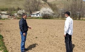 В Урупском районе Карачаево-Черкесии в рамках республиканской программы по выращиванию мини-садов создаются кооперативы