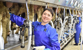 Аграриям Краснодарского края выделено свыше 560 млн рублей субсидий на молоко