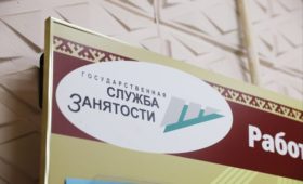 С начала года восемь безработных жителей Ненецкого АО получили финансовую помощь на открытие собственного дела