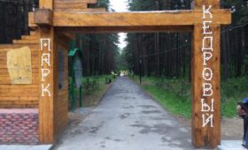 Томская область: Благоустройство Кедрового парка в Колпашеве будет продолжено
