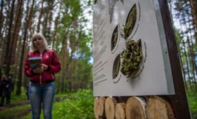 Омская область: На озере Ленево в Муромцевском районе открылась эколого-туристская тропа