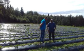 Карелия: Развитию фермерских хозяйств помогает господдержка