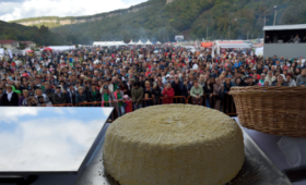 В Адыгее установлен рекорд России по изготовлению самого большого круга адыгейского сыра