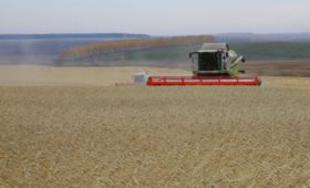 В Иркутской области убрано 70% площадей зерновых и зернобобовых культур