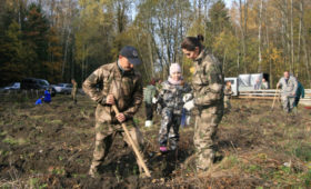 В Калининградской области высадят более 300 тысяч деревьев ценных пород