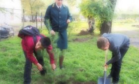 Лесники Хакасии подарили деревья школьникам