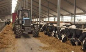 В Костромской области расширены меры господдержки сельхозтоваропроизводителей