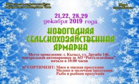 Поручение Главы Тувы: в Кызыле к новогодним праздникам развернут бесплатные торговые ряды для местных товаропроизводителей