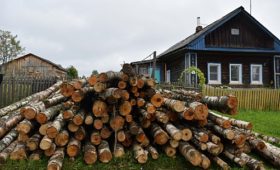 Кировская область: 162,7 тысячи кубометров древесины предоставлено гражданам по льготной цене в 2019 году