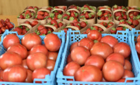 Продовольственные рынки и ярмарки открыты в восьми муниципалитетах Краснодарского края