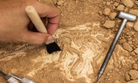 Липецкие археологи получат федеральный грант