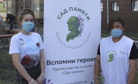 Более 28 тысяч деревьев высадили в Республике Алтай в рамках акции «Сад памяти»