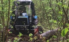 В Орловской области лесные дороги испытывают новые тракторы «Беларус»
