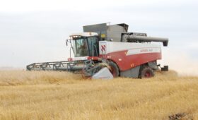 Аграрии Красноярского края намолотили более 2 миллионов тонн зерна