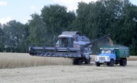 Аграрии Омской области убрали 52,5% от плана урожая