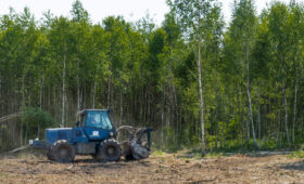В Ржевском районе Тверской области введено в оборот более 990 гектаров неиспользуемой пашни