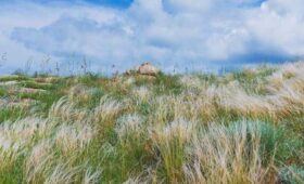 В 2020 году в Крыму создан государственный природный заказник «Парпачский гребень»