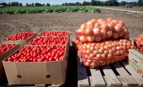 В Волгоградской области сельскохозяйственная кооперация выходит на промышленный уровень