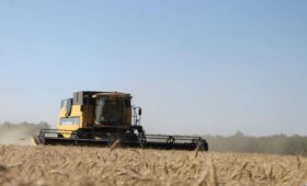 В Омском регионе уборка зерновых и зернобобовых культур выходит на  финишную прямую