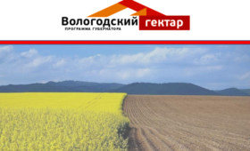 Предварительные заявки на 133 гектара земли подали участники губернаторской программы «Вологодский гектар» в Вытегорском районе