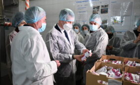 Крымское производство молочной продукции увеличило производительность благодаря участию в нацпроекте