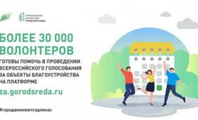 В Мурманской области порядка 200 человек зарегистрировались в волонтерский корпус для поддержки голосования на платформе 51.gorodsreda.ru