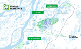 С первого августа жители Ненецкого АО смогут заявиться на «Гектар в Арктике»
