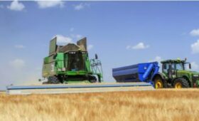 Нестандартная уборка зерновых проходит в Липецкой области