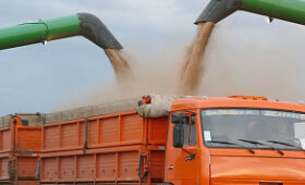 В Алтайском крае собрали более 2 миллионов тонн зерна нового урожая