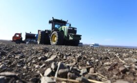 Аграрии Мордовии завершают сев озимых и убирают кукурузное зерно