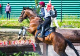 В Хакасии состоятся всероссийские соревнования по конному спорту памяти Александра Магдалина