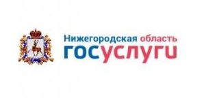 Более 694 тысяч посещений портала госуслуг Нижегородской области зафиксировано с начала года