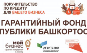 В Башкортостане на 143% увеличилось количество предоставленных предпринимателям госпоручительств