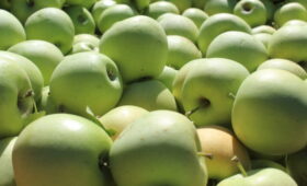 Крым завершил сбор плодово-ягодной продукции, собрав более 119 тысяч тонн — Андрей Рюмшин