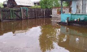 Минприроды России поддержит строительство защитной дамбы на реке Енисей вблизи Кызыла