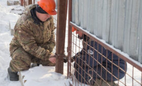 В столице Алтайского края готовят участок для установки стелы «Город трудовой доблести»