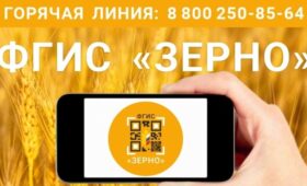 С 1 июля в Крыму начнёт действовать система прослеживаемости зерна ФГИС «Зерно»